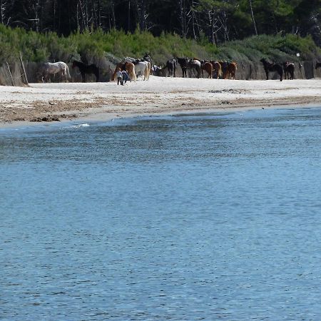 Affittacamere A Due Passi Dal Mare مارينا دي سيسينا المظهر الخارجي الصورة