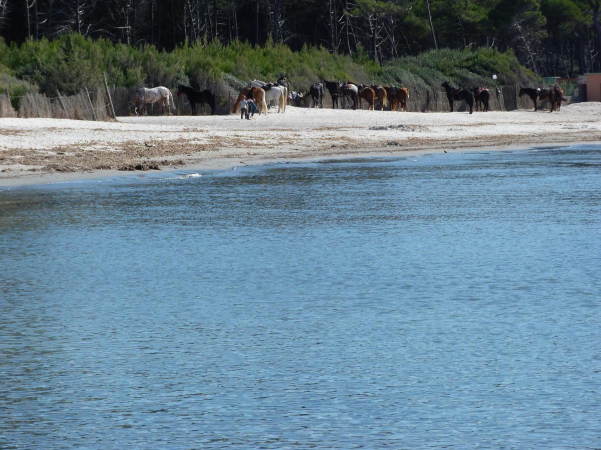 Affittacamere A Due Passi Dal Mare مارينا دي سيسينا المظهر الخارجي الصورة